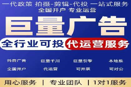 网络推广与竞价广告：双管齐下的策略案例
